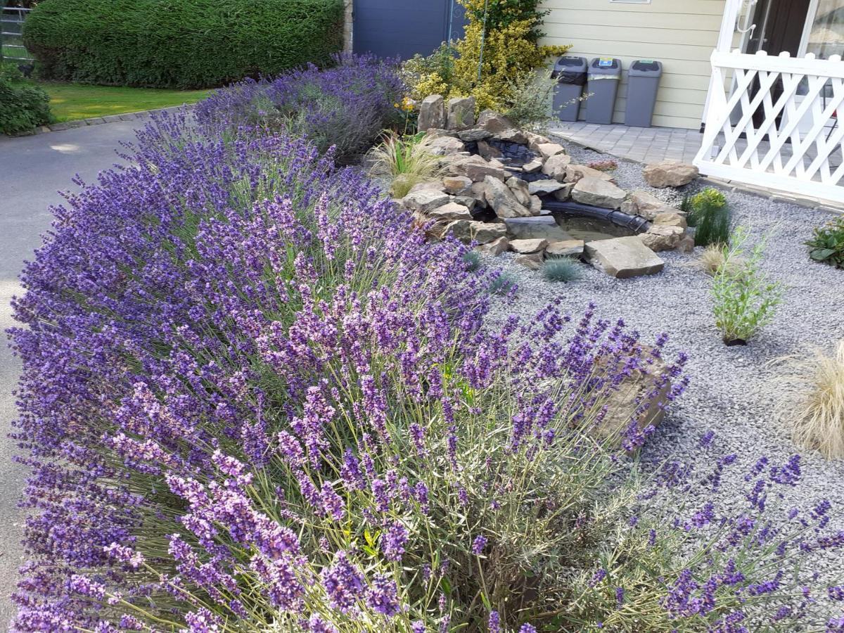 Relais Des Tourterelles Bed & Breakfast La Neuville-aux-Joutes Luaran gambar